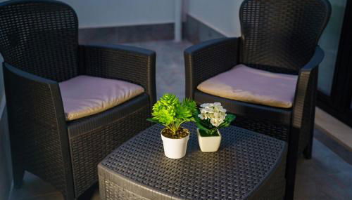 Jay House - Foto 5, Garden, Garden view