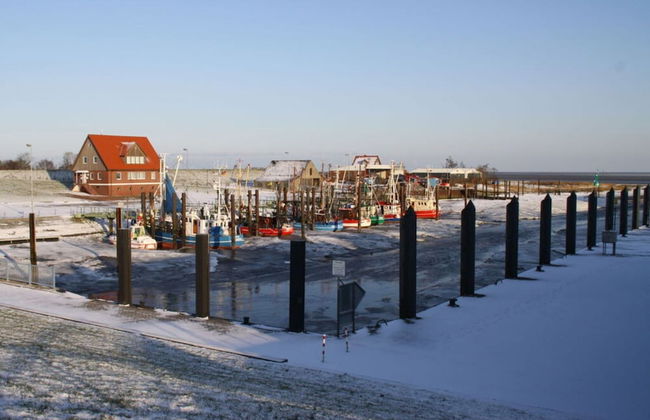 Thias J 3 With Winter Garden - Foto 18