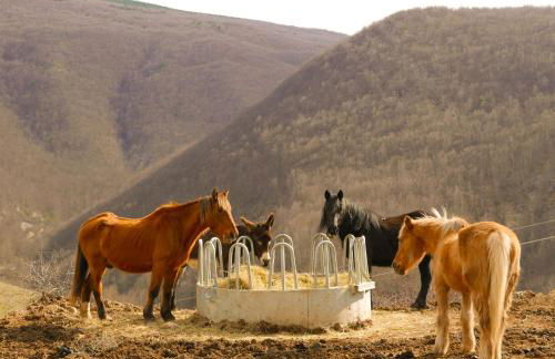 Chateau des Gipières bij de Mont Ventoux - Foto 63