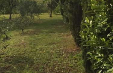 luxury villa in centre of tuscany - Foto 47