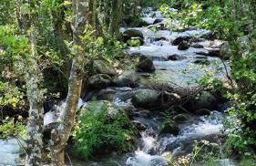 Casa Rural Aguas del Venero - Foto 119