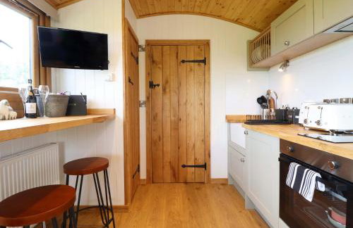 Defaid Cymreig - Foto 6