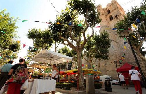 Mas Andalou Fabuleuse première ligne de mer, plage privative - Foto 52