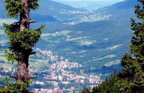 Domek Pocieszna Podkowa - Foto 19