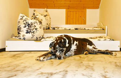 Ferienwohnung Schlossblick Schillingsfürst - Foto 10