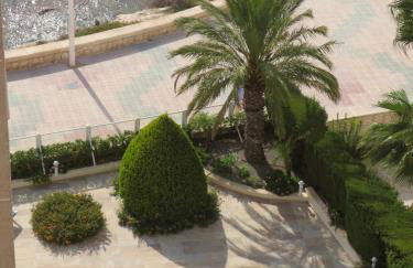 Clubrent - Rubino - Foto 27