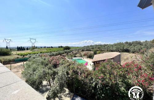 Le gite aux oliviers - Foto 14