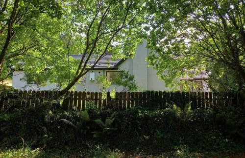 Fiddlestone Lodge in Castle Caldwell Forest - Foto 20