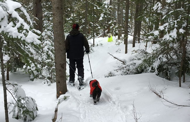 Heron's Nest Cottages - Foto 35