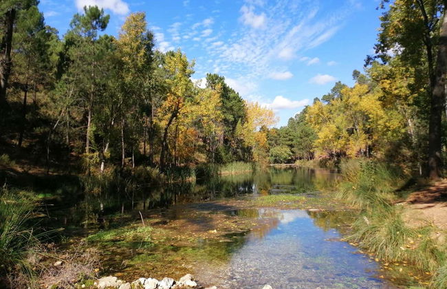 Tour en 4x4 por el nacimiento del río Mundo - Photo 5