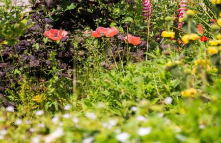 Ty Fry Estate - Foto 51