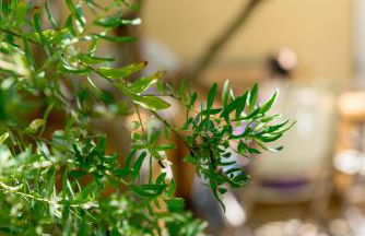 Valashouse - Foto 75