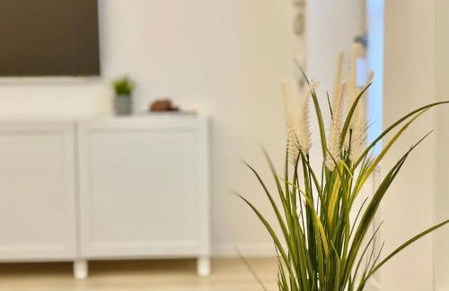 Casa Manzoni Deluxe MXP Town Center - Photo 18