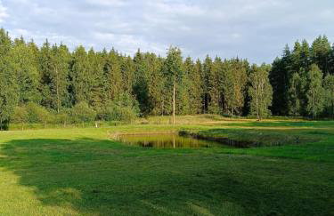 Siedlisko Wilczyny - Foto 7