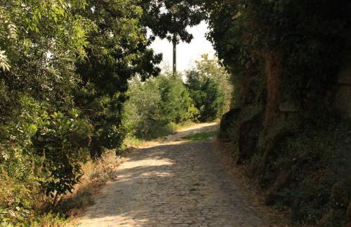 Fragas do Lobo - Casa da Azenha - Foto 15