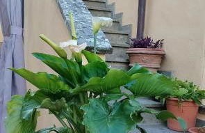 Casa Vacanze Emmanuele - Foto 12