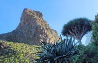 Anaga Tucho Natural Beach House - Foto 54