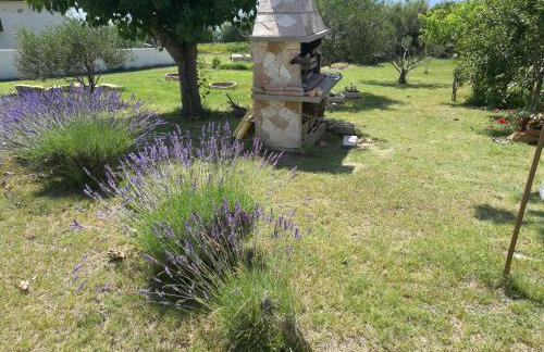 Apartments Eugen - Foto 13