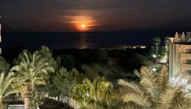 Mimosa Apartment - Foto 3