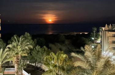 Mimosa Apartment - Foto 3