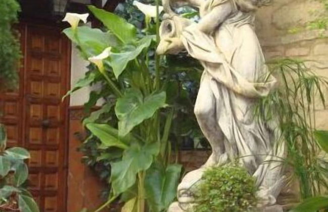 Apartamentos Embrujo de Azahar - Foto 56