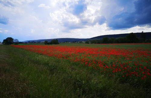 Gîte des Vignes à Viéville-sous-les-Côtes Escapade nature et patrimoine Meuse - Foto 22
