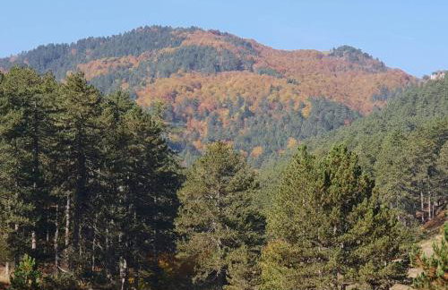 Pallas Casa - Photo 44