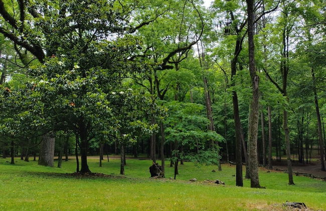 Bean Creek Cabins - Foto 34