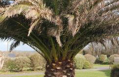 LE PETIT COIN DE PARADIS - Foto 6