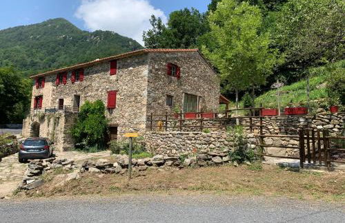 Mas Graffouil - Foto 2