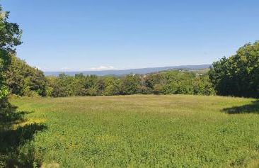 CHRIS LE VERGER - Foto 25