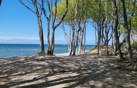 Apartamenty Róża Wiatrów 45B z dużym tarasem - Foto 26