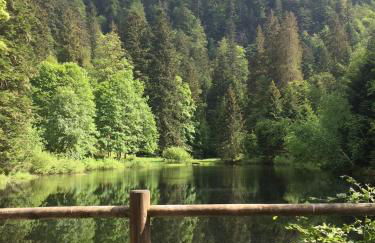 Chalet 10 pers sauna & SPA La tanière des Vosges - Foto 58