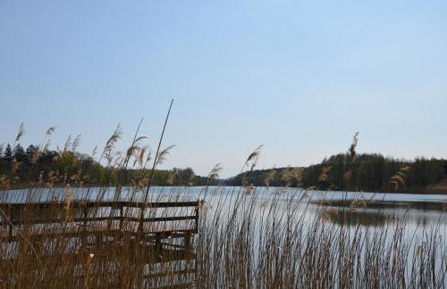 Dworek nad Jeziorem Wądzyn - Foto 41