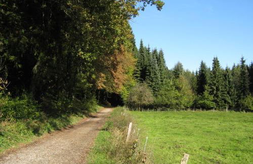 Fewo Waldblick Zweifall - Foto 48