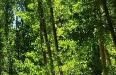 Cueva En El Geoparque de Granada - Foto 35