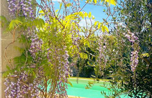 Masseria Vittoria - Foto 43