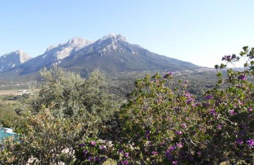 Villa L'Oleandro - Foto 60