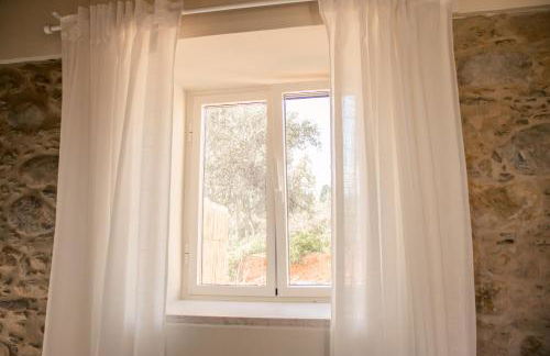 Quinta-lina de serpins - Foto 38