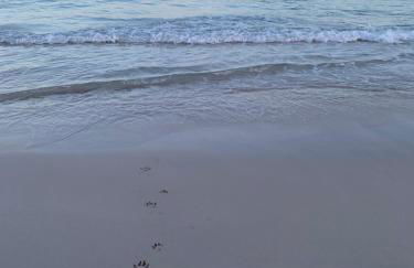 Villa Rafael - Foto 45