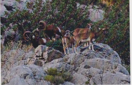 Studio Apartment Lile - Foto 37