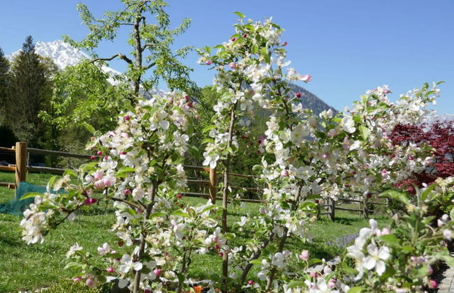 Malerhausl Modern Retreat - Foto 21