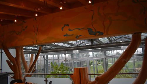 Palmengarten - Photo 2