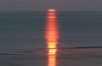 LES ILES VUE SUR MER - Foto 30