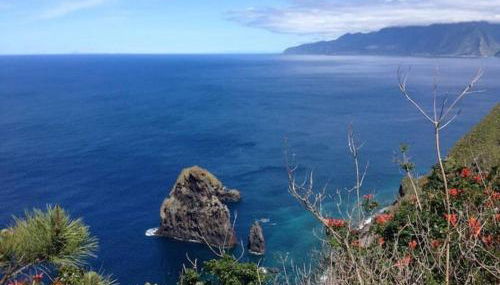 Casa do Bisbis - Foto 5