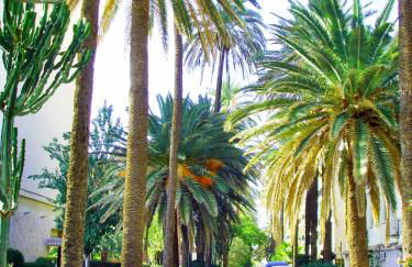 Apartamento Playa Centro Vistas Mar - Foto 48