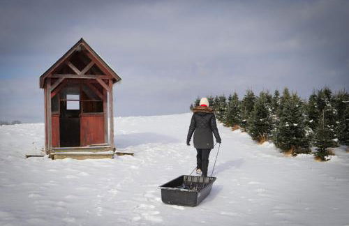 Experience the Rocks Estate like never before with a stay at the Gardeners Cottage! - Foto 5