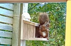 Lamlash- Self catering accommodation with seaviews - Photo 21
