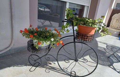 Comfort House Mimosa 1 - Foto 32