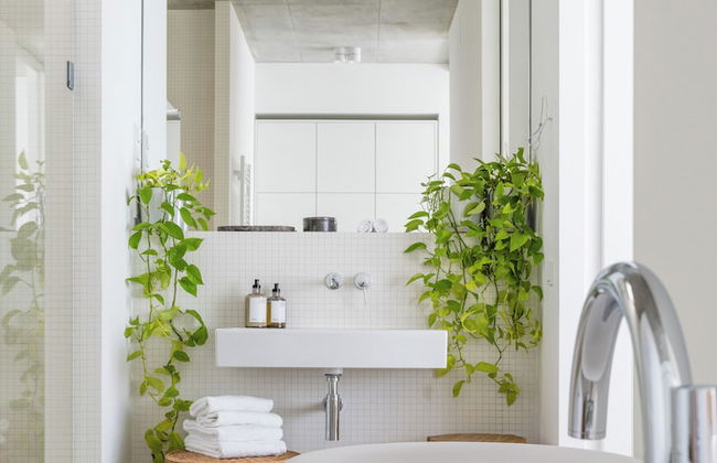 Wilmina Apartments & Lofts - Foto 54